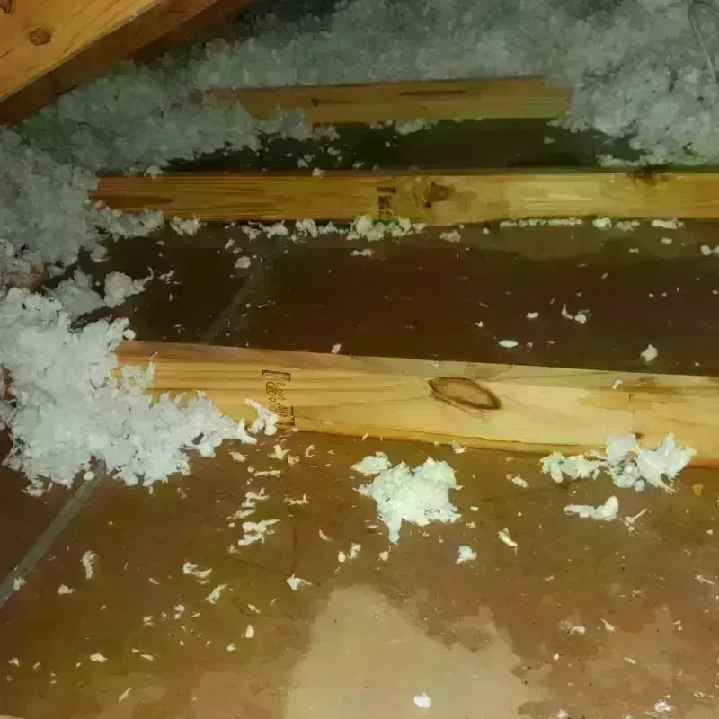 Attic Water Damage in Nice, CA