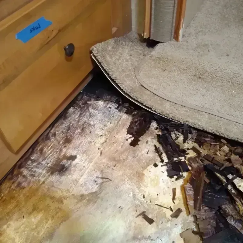 Wood Floor Water Damage in Nice, CA